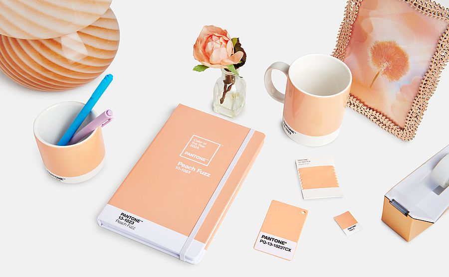 Peach Fuzz, Pantone's Color of the Year 2024.